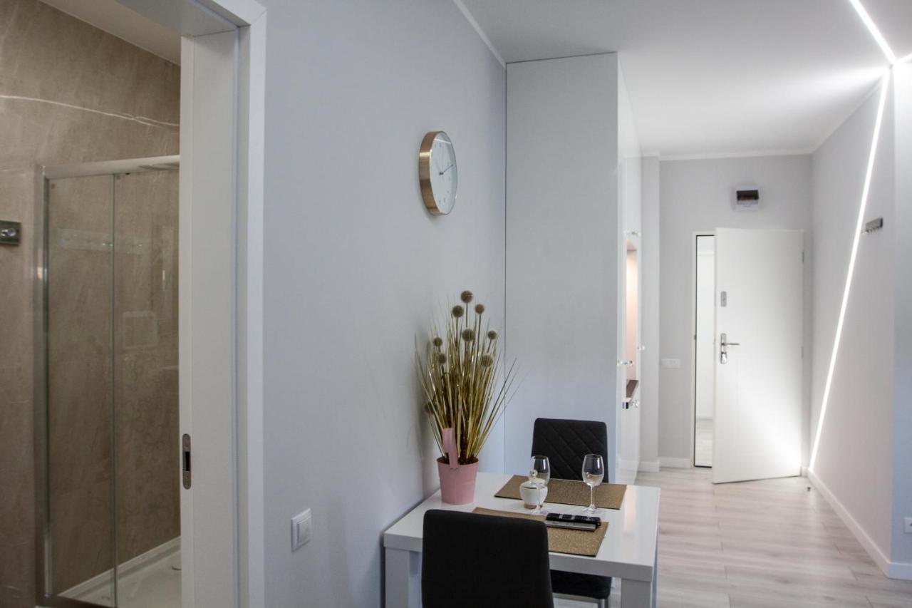 Novel New Apartment Warsaw